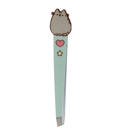 Pusheen the Cat pinsetit, happy teal