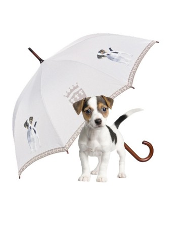 Jack Russell -terrieri sateenvarjo