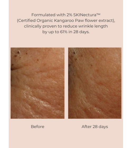 Pure Perfection Primer, INIKA Organic