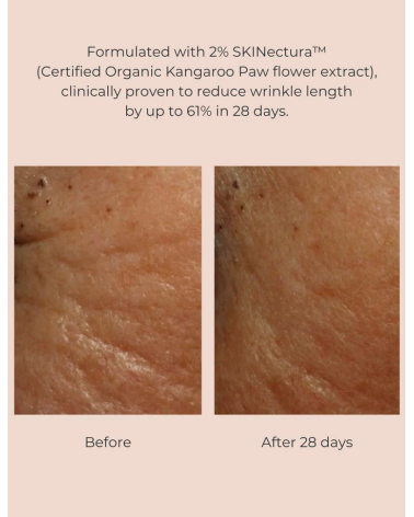 Pure Perfection Primer, INIKA Organic
