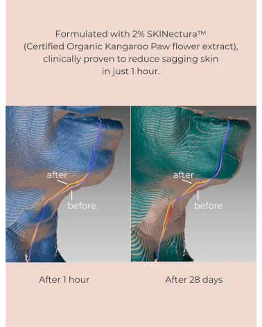 Pure Perfection Primer, INIKA Organic